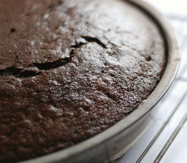 Basic Chocolate Cake