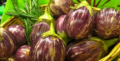 Round Eggplants