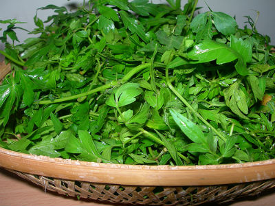 Mudakathan Keerai 