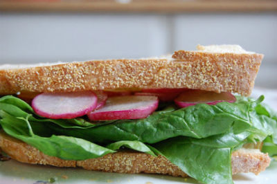 Radish Sandwich