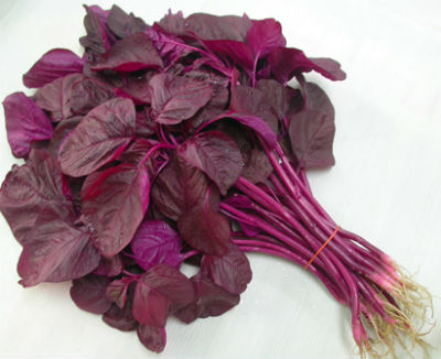 Red Spinach