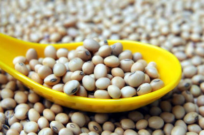 Soya Beans