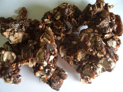 Tamarind
