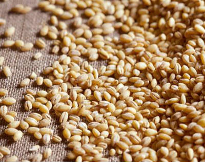 Barley