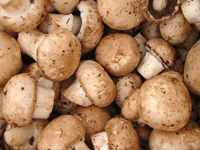 Button Mushrooms