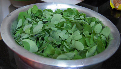 Drumstick Leaves