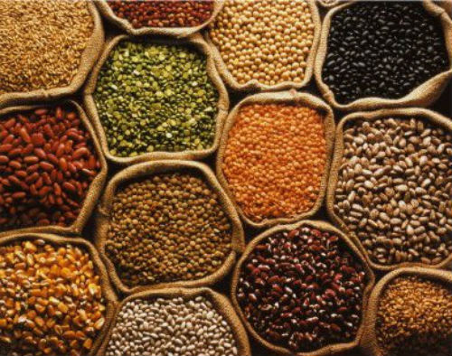 Grains Food