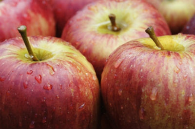 Fresh Apples