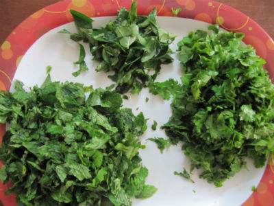 Coriander Leaves, Mint Leaves and Curry Leaves
