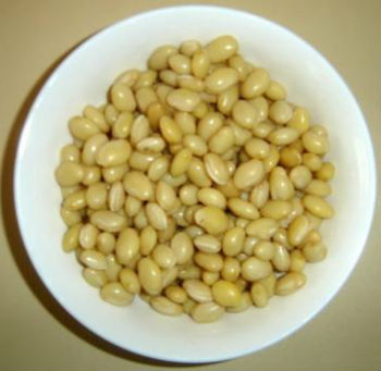 Mocha Kottai (Field Beans)