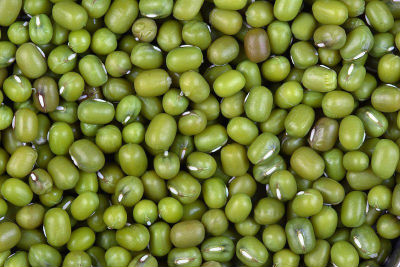 Green Gram / Mung Bean