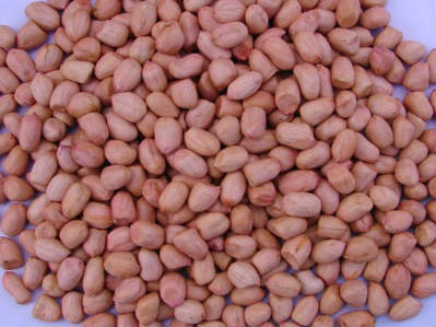 Raw Peanuts