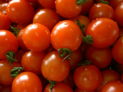 Tomatoes Tomatoes