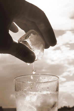 Summer Thirst Quenchers