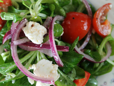 Turkish Garden Salad
