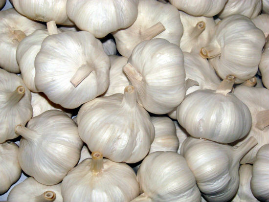 Why You Should Eat Garlic
