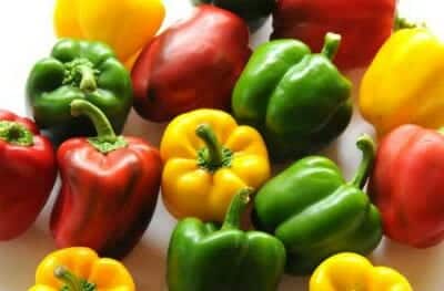 Capsicum