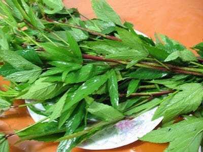 Gongura Leaves 