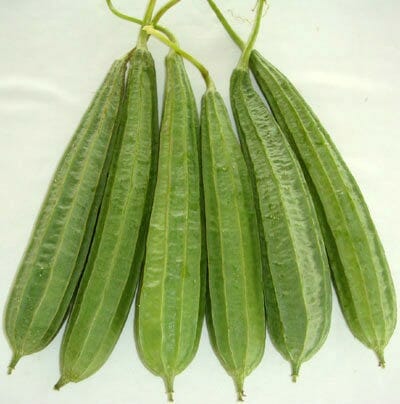 Ridge Gourd / Peerkangai