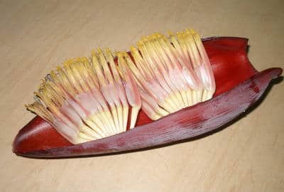 vazhaipoo 