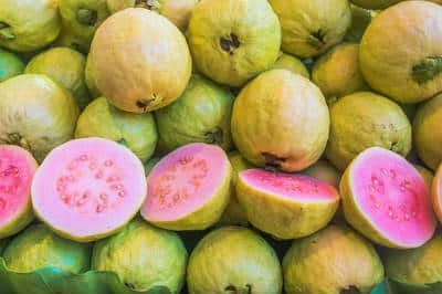 red guavas