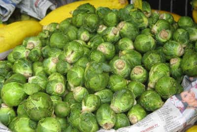 ooty cabbage