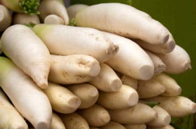 white radish