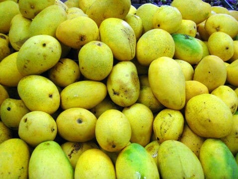 Banganaballi Mangoes