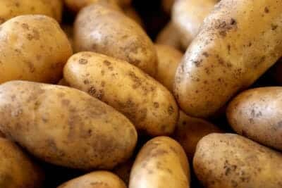 potatoes