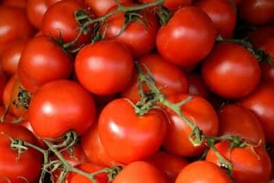 Tomatoes