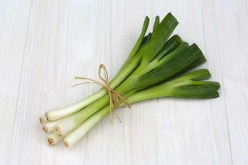 A bunch of Spring Onions