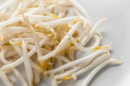 Beansprouts