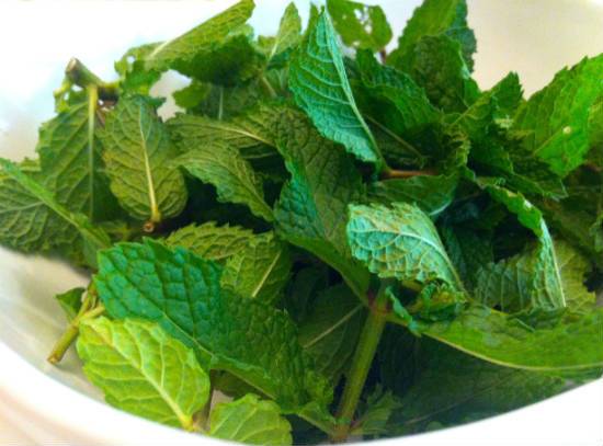 Mint Leaves