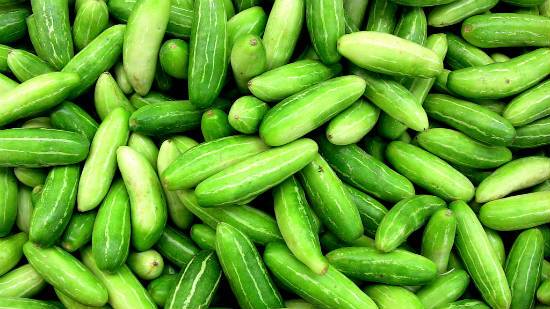 Tindora (Kovakkai/Ivy Gourd)