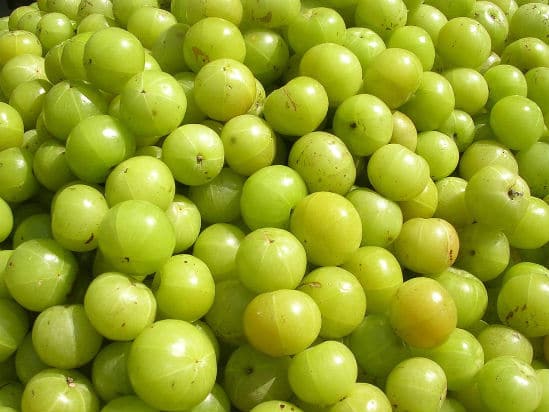 Nellikai - Amla - Indian Gooseberry