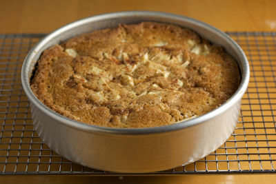 Apple and Cinnamon Cake