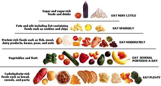 Fibre Fruits Vegetables Chart