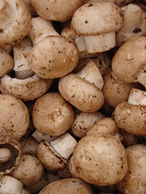 Mushrooms cooked in Vegetable Stock