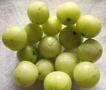 Nellikai / Gooseberry