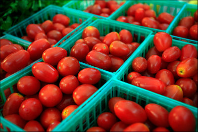 Tomato Curry