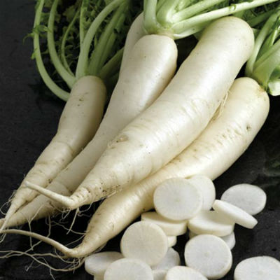 White Radish