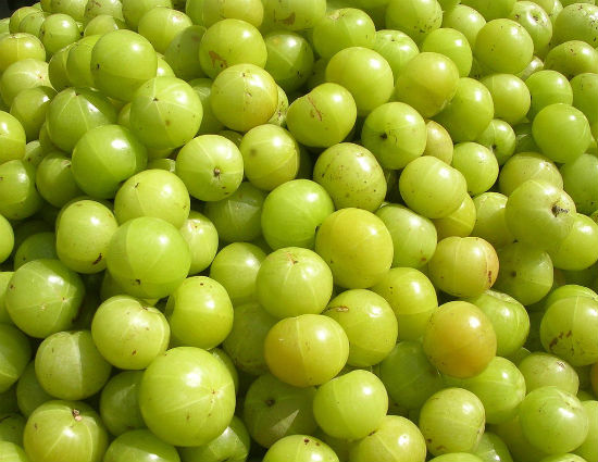 Amla - Indian Gooseberry