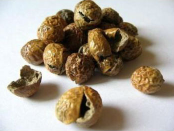 Sundakkai Vathal (Turkey Berry) 