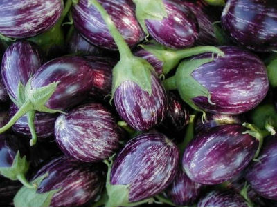 Violet Brinjals