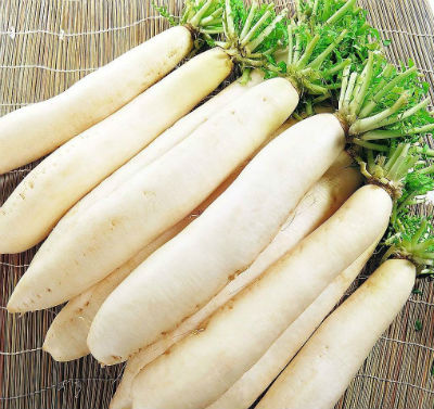 White Radish