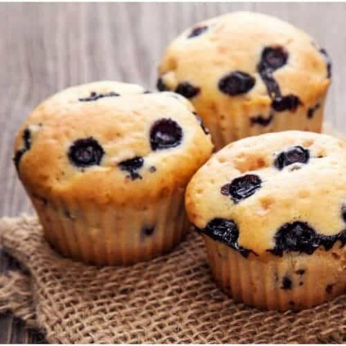 Blueberry Muffin