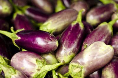 brinjals