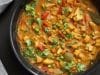 Vegetable Korma 6 Vegetable Korma