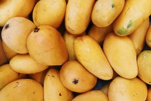 Magnificent Mango: Your Ultimate Guide to the Irresistible King of Fruits!