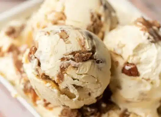 Pecan Praline Ice Cream